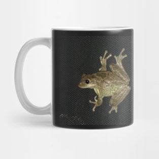 Brown Tree Frog Mug